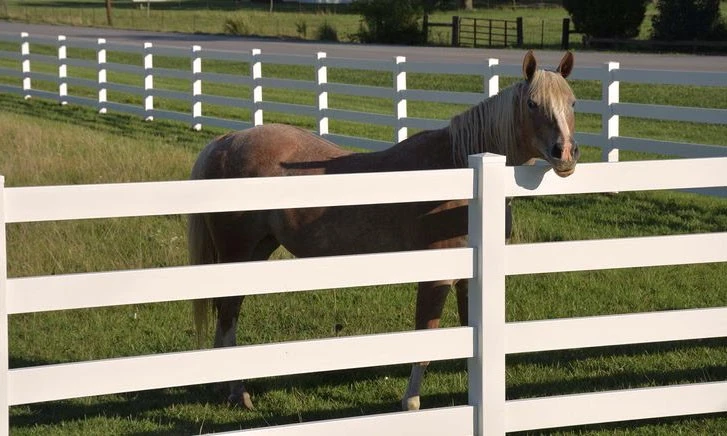 fence rail fence rail